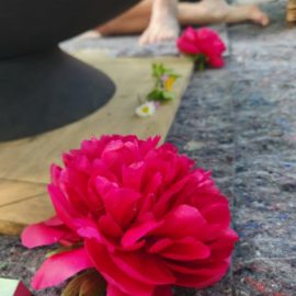 Notre nouveau site